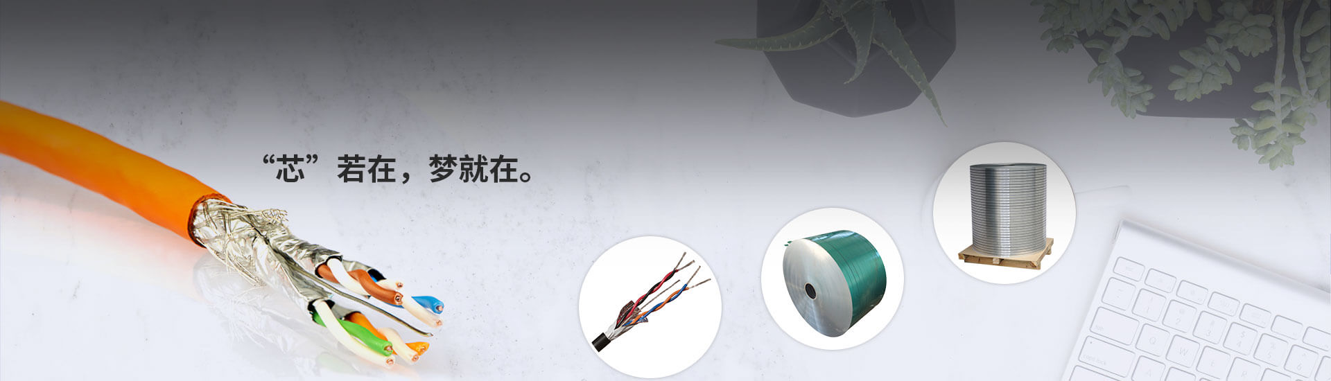 塑（sù）料塗層鋁帶用於（yú）電纜