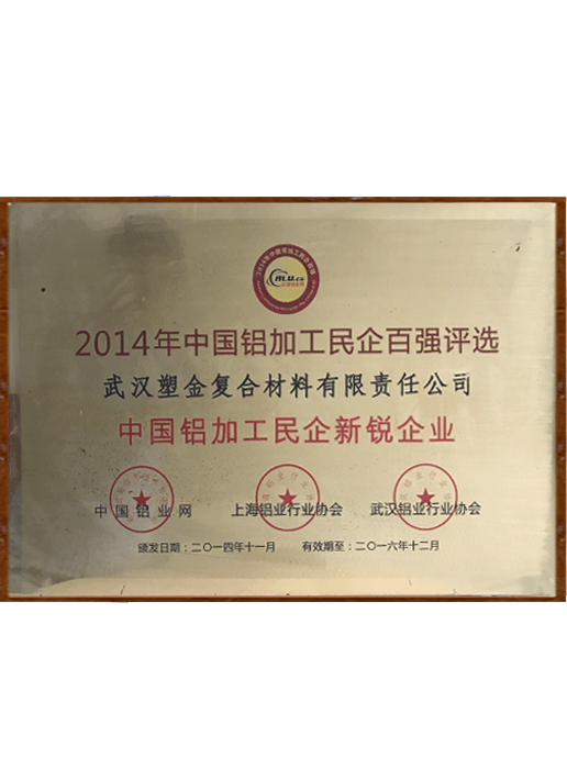 中國鋁加工民營新銳（ruì）企業